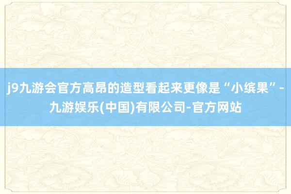 j9九游会官方高昂的造型看起来更像是“小缤果”-九游娱乐(中国)有限公司-官方网站