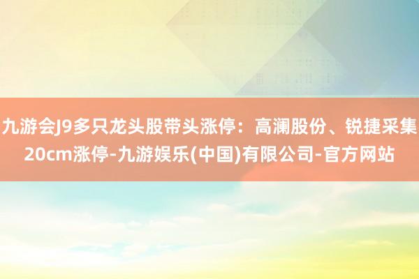 九游会J9多只龙头股带头涨停:高澜股份、锐捷采集20cm涨停-九游娱乐(中国)有限公司-官方网站