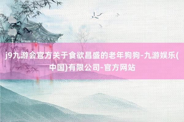 j9九游会官方关于食欲昌盛的老年狗狗-九游娱乐(中国)有限公司-官方网站