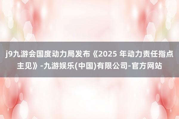 j9九游会国度动力局发布《2025 年动力责任指点主见》-九游娱乐(中国)有限公司-官方网站
