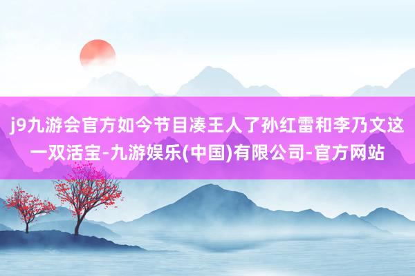 j9九游会官方如今节目凑王人了孙红雷和李乃文这一双活宝-九游娱乐(中国)有限公司-官方网站