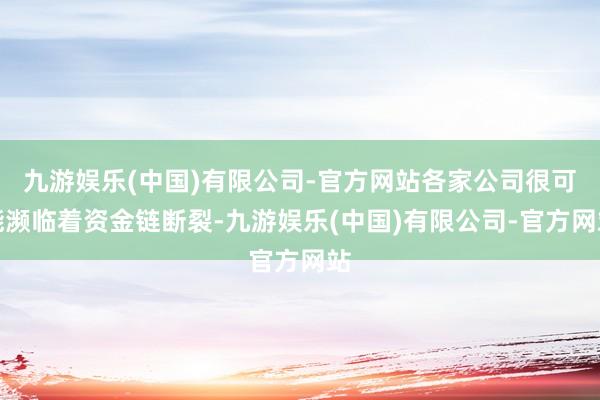 九游娱乐(中国)有限公司-官方网站各家公司很可能濒临着资金链断裂-九游娱乐(中国)有限公司-官方网站
